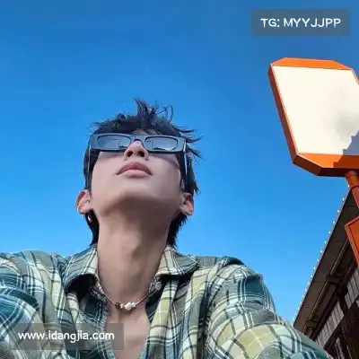 万桢翼